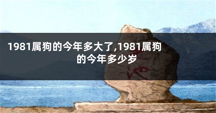 1981属狗的今年多大了,1981属狗的今年多少岁