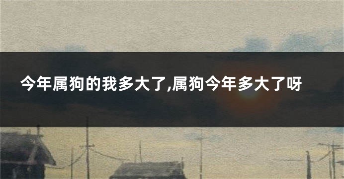 今年属狗的我多大了,属狗今年多大了呀