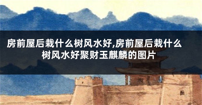 房前屋后栽什么树风水好,房前屋后栽什么树风水好聚财玉麒麟的图片