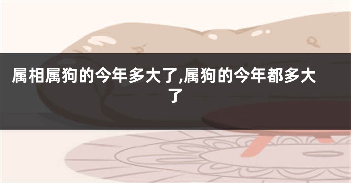 属相属狗的今年多大了,属狗的今年都多大了