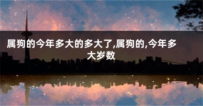 属狗的今年多大的多大了,属狗的,今年多大岁数