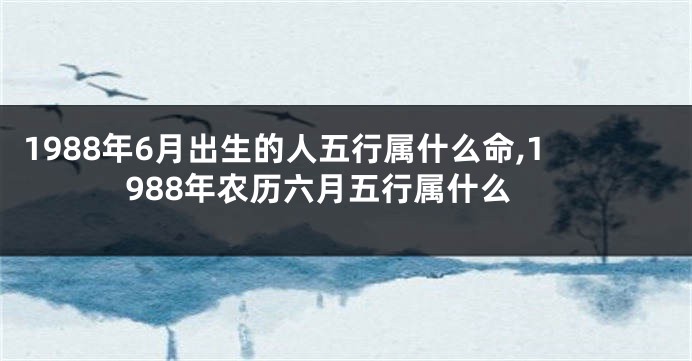 1988年6月出生的人五行属什么命,1988年农历六月五行属什么