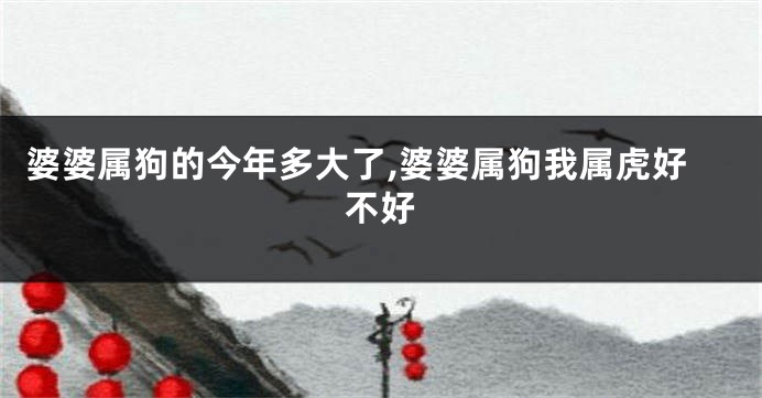 婆婆属狗的今年多大了,婆婆属狗我属虎好不好
