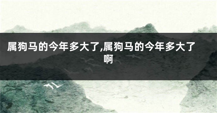 属狗马的今年多大了,属狗马的今年多大了啊