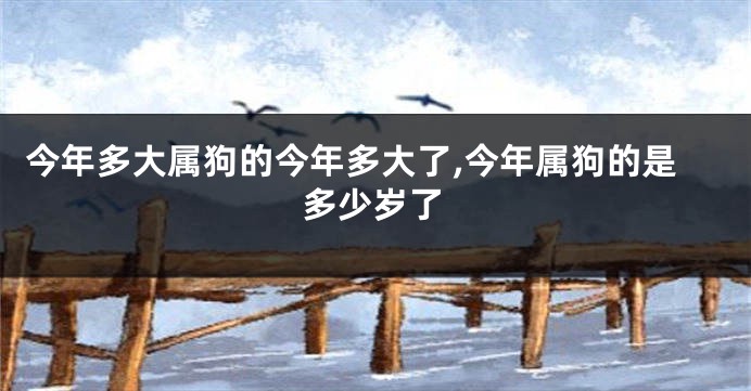 今年多大属狗的今年多大了,今年属狗的是多少岁了