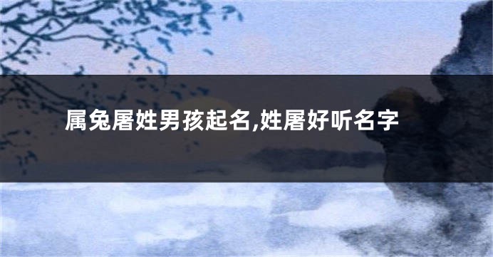 属兔屠姓男孩起名,姓屠好听名字