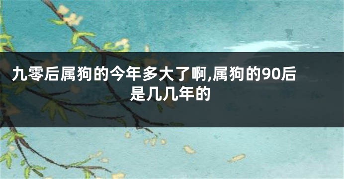 九零后属狗的今年多大了啊,属狗的90后是几几年的