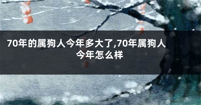70年的属狗人今年多大了,70年属狗人今年怎么样