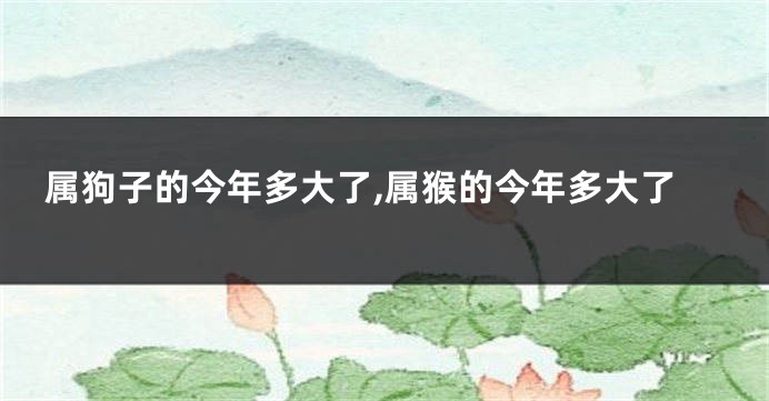 属狗子的今年多大了,属猴的今年多大了