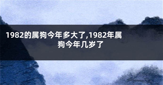 1982的属狗今年多大了,1982年属狗今年几岁了