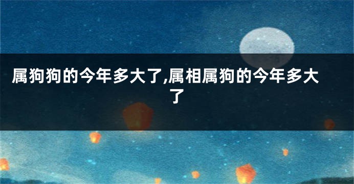 属狗狗的今年多大了,属相属狗的今年多大了