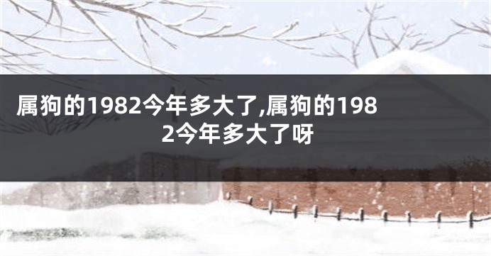 属狗的1982今年多大了,属狗的1982今年多大了呀