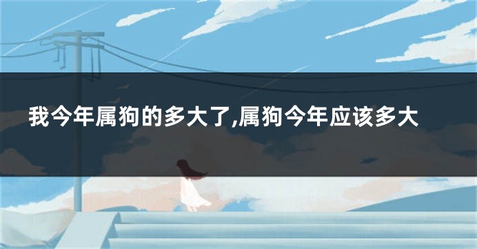 我今年属狗的多大了,属狗今年应该多大