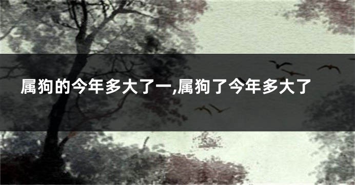 属狗的今年多大了一,属狗了今年多大了