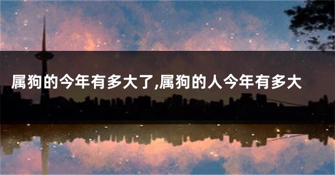 属狗的今年有多大了,属狗的人今年有多大