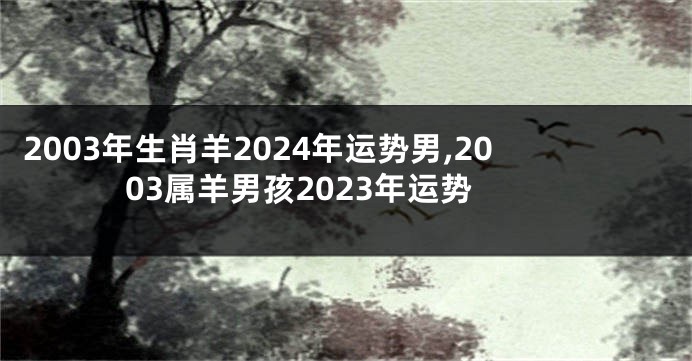 2003年生肖羊2024年运势男,2003属羊男孩2023年运势