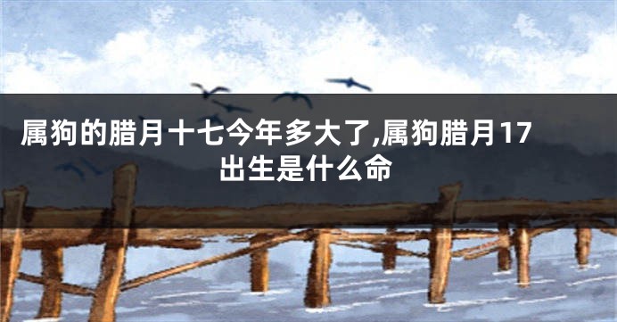属狗的腊月十七今年多大了,属狗腊月17出生是什么命