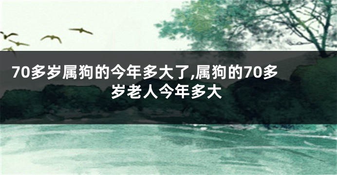 70多岁属狗的今年多大了,属狗的70多岁老人今年多大