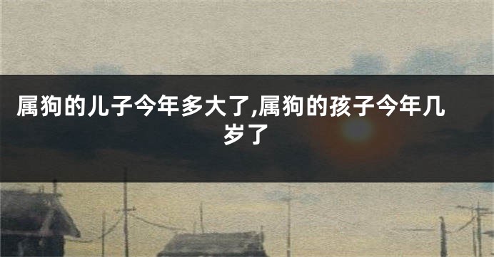 属狗的儿子今年多大了,属狗的孩子今年几岁了