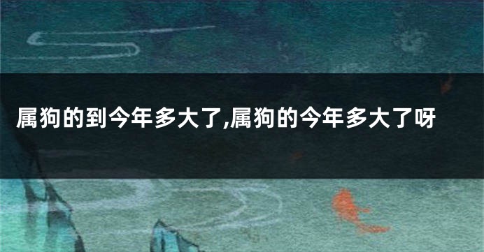 属狗的到今年多大了,属狗的今年多大了呀