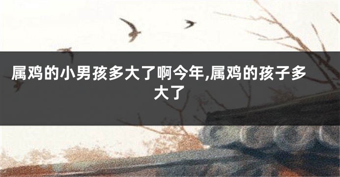 属鸡的小男孩多大了啊今年,属鸡的孩子多大了