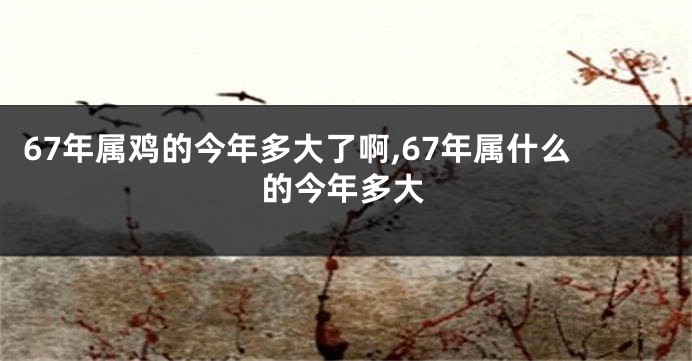67年属鸡的今年多大了啊,67年属什么的今年多大