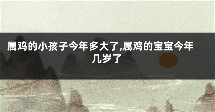属鸡的小孩子今年多大了,属鸡的宝宝今年几岁了