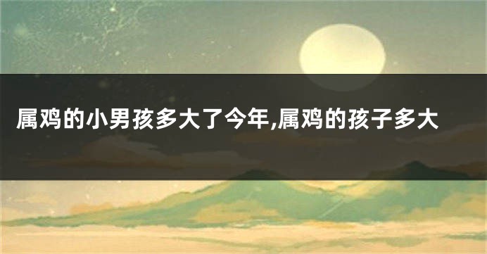属鸡的小男孩多大了今年,属鸡的孩子多大