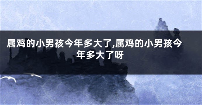 属鸡的小男孩今年多大了,属鸡的小男孩今年多大了呀