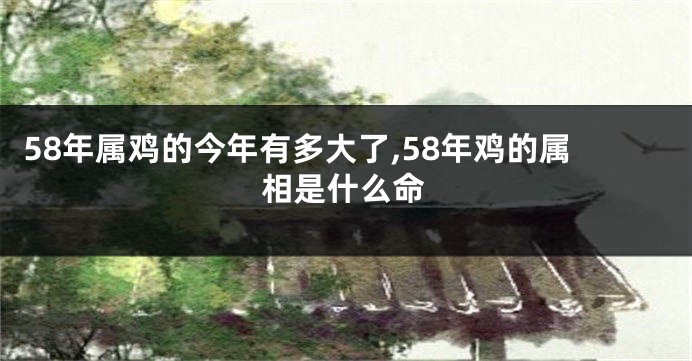 58年属鸡的今年有多大了,58年鸡的属相是什么命
