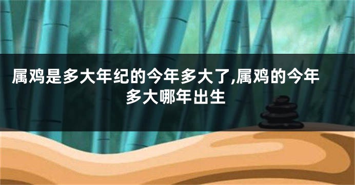 属鸡是多大年纪的今年多大了,属鸡的今年多大哪年出生