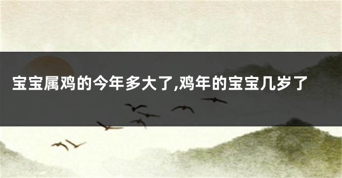 宝宝属鸡的今年多大了,鸡年的宝宝几岁了