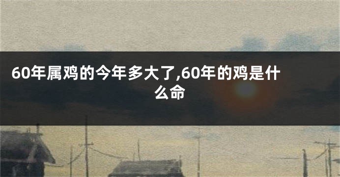 60年属鸡的今年多大了,60年的鸡是什么命
