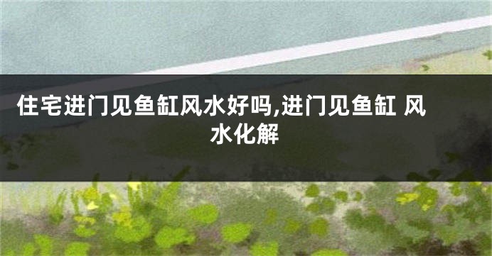 住宅进门见鱼缸风水好吗,进门见鱼缸 风水化解