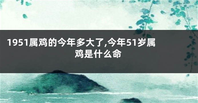 1951属鸡的今年多大了,今年51岁属鸡是什么命
