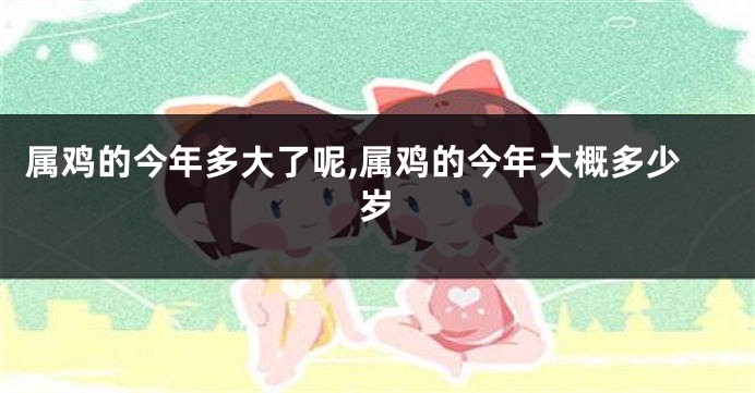 属鸡的今年多大了呢,属鸡的今年大概多少岁