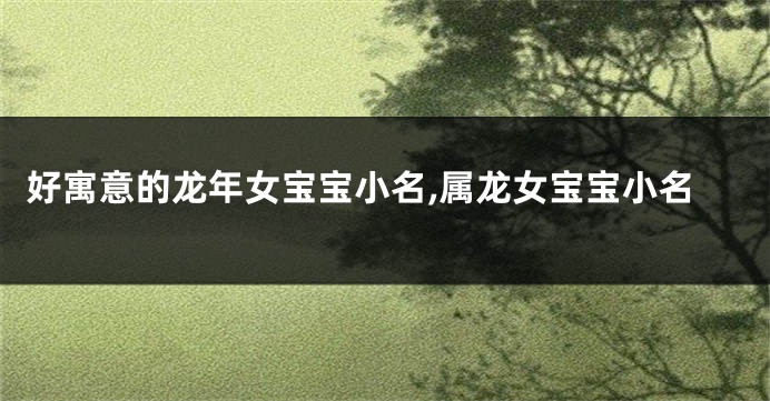 好寓意的龙年女宝宝小名,属龙女宝宝小名