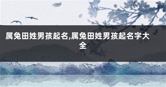属兔田姓男孩起名,属兔田姓男孩起名字大全