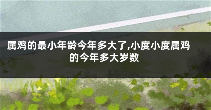 属鸡的最小年龄今年多大了,小度小度属鸡的今年多大岁数