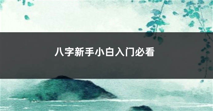 八字新手小白入门必看