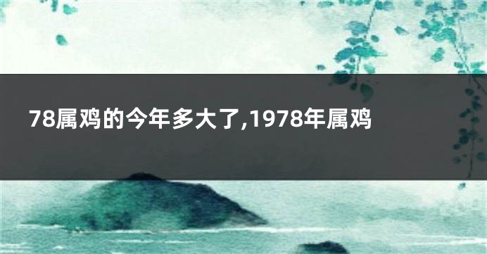 78属鸡的今年多大了,1978年属鸡