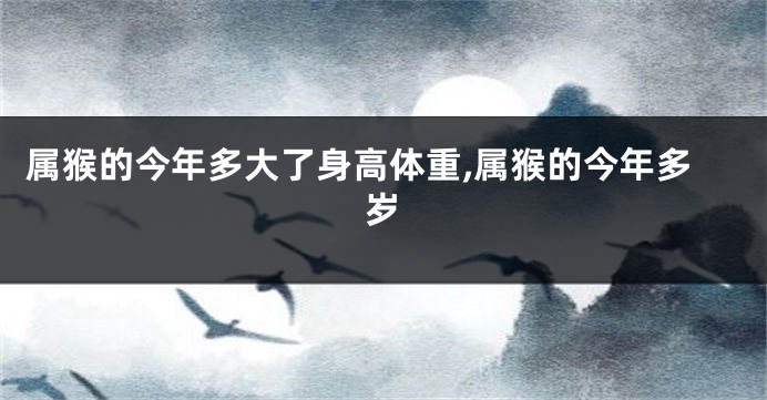 属猴的今年多大了身高体重,属猴的今年多岁