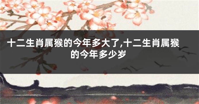 十二生肖属猴的今年多大了,十二生肖属猴的今年多少岁