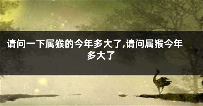 请问一下属猴的今年多大了,请问属猴今年多大了