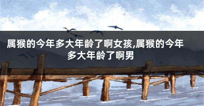 属猴的今年多大年龄了啊女孩,属猴的今年多大年龄了啊男