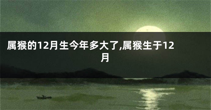 属猴的12月生今年多大了,属猴生于12月