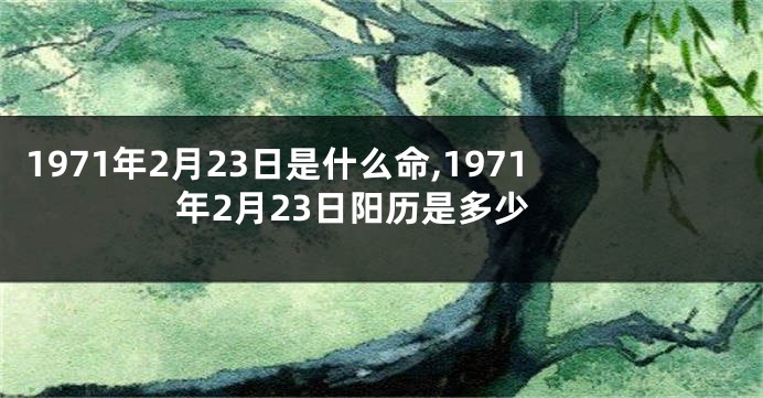 1971年2月23日是什么命,1971年2月23日阳历是多少