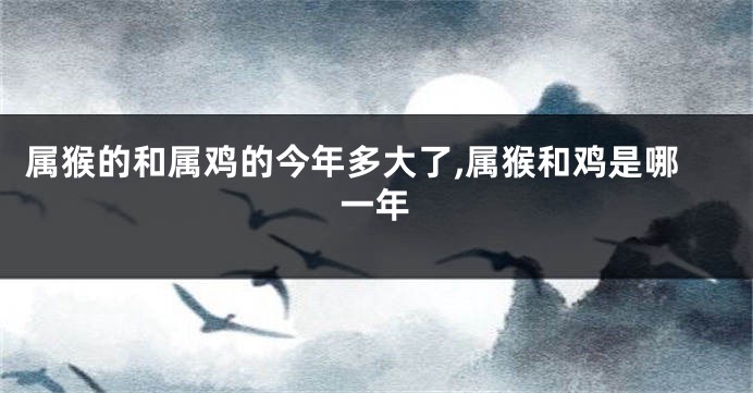 属猴的和属鸡的今年多大了,属猴和鸡是哪一年