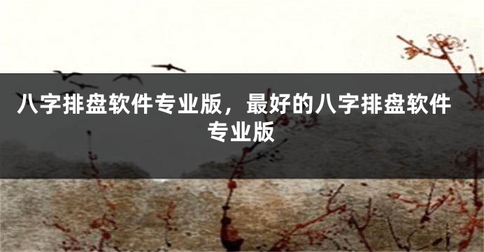 八字排盘软件专业版，最好的八字排盘软件专业版