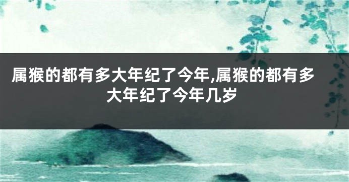 属猴的都有多大年纪了今年,属猴的都有多大年纪了今年几岁